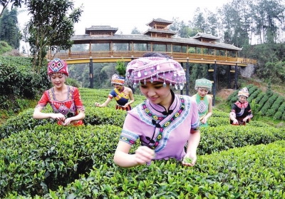 恩施硒茶是绿茶吗(恩施硒绿茶多少钱一斤)-硒宝网