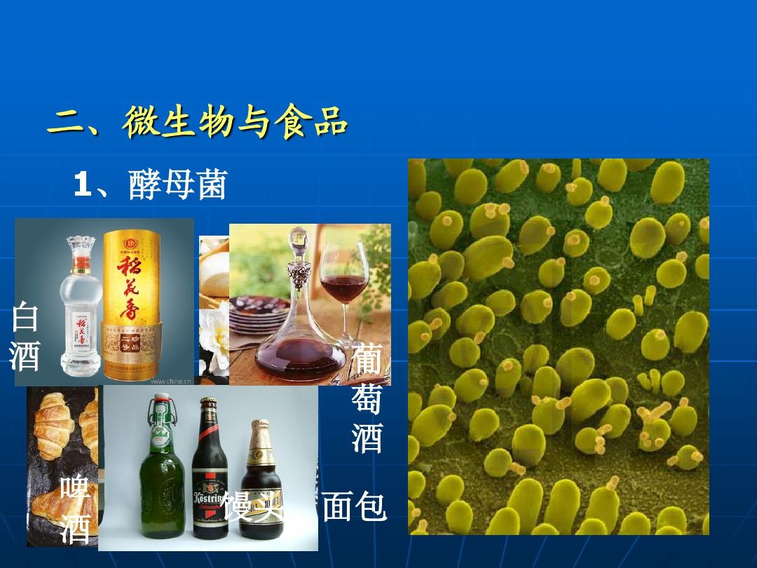 怎么给蔬菜补硒肥料呢
