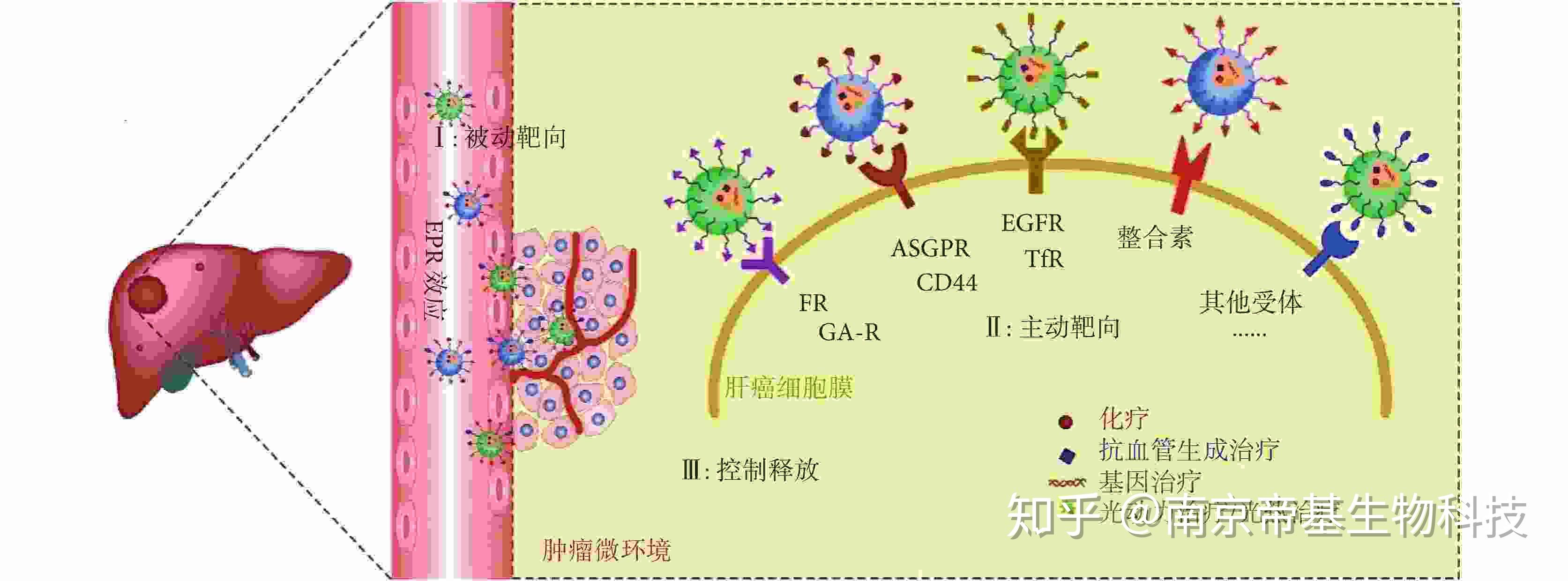 肝炎用什么补硒药物好