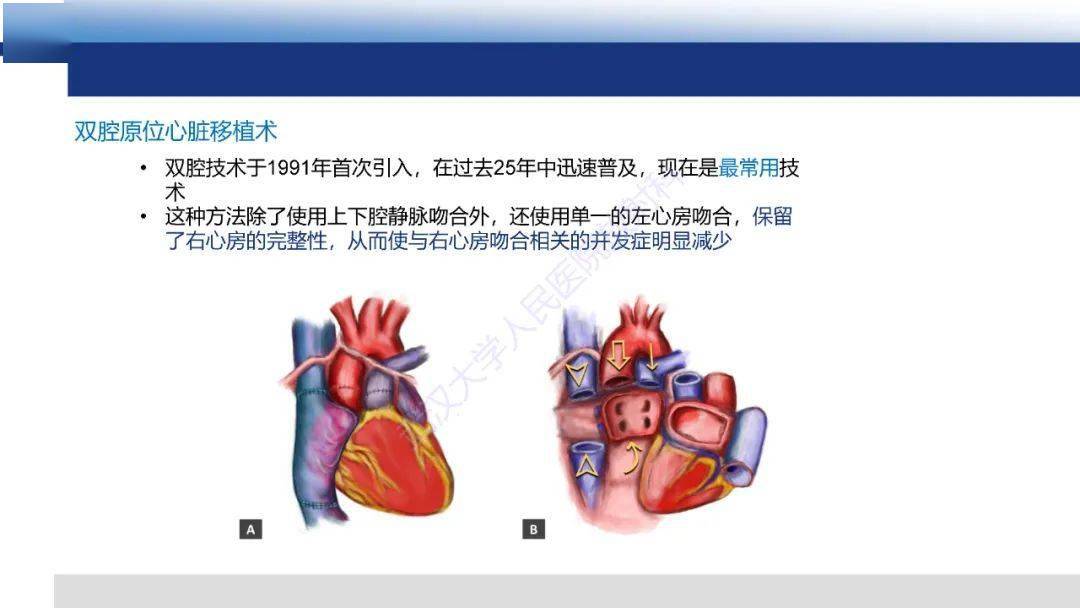 移植前能补硒吗