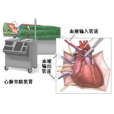 移植前能补硒吗