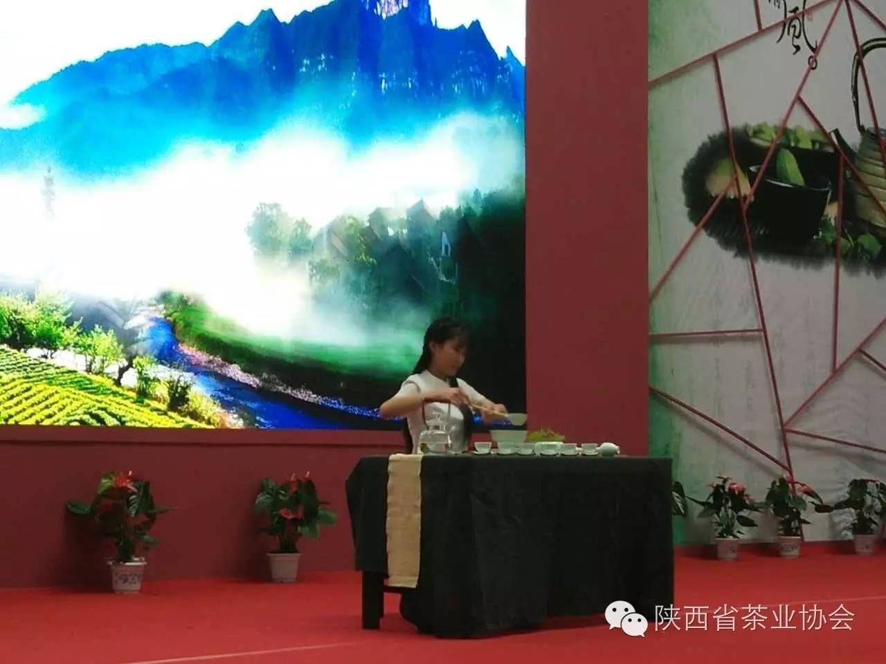 西安茶城富硒茶