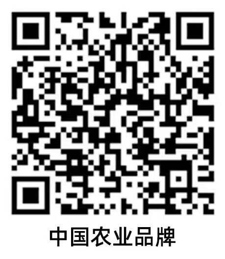 安徽养生富硒茶