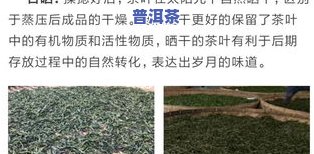 海南富硒普洱茶哪里买到正宗，寻找正宗海南富硒普洱茶购买渠道