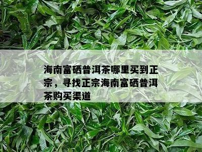 海南富硒普洱茶哪里买到正宗，寻找正宗海南富硒普洱茶购买渠道