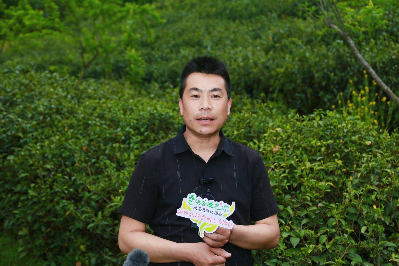 镇巴楮河富硒茶