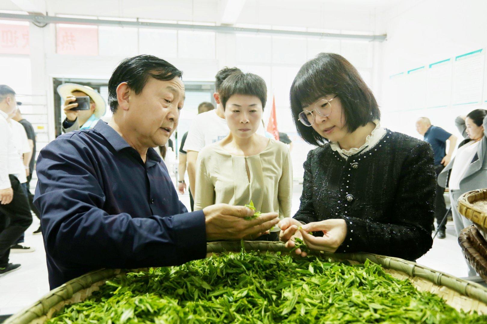 镇巴楮河富硒茶