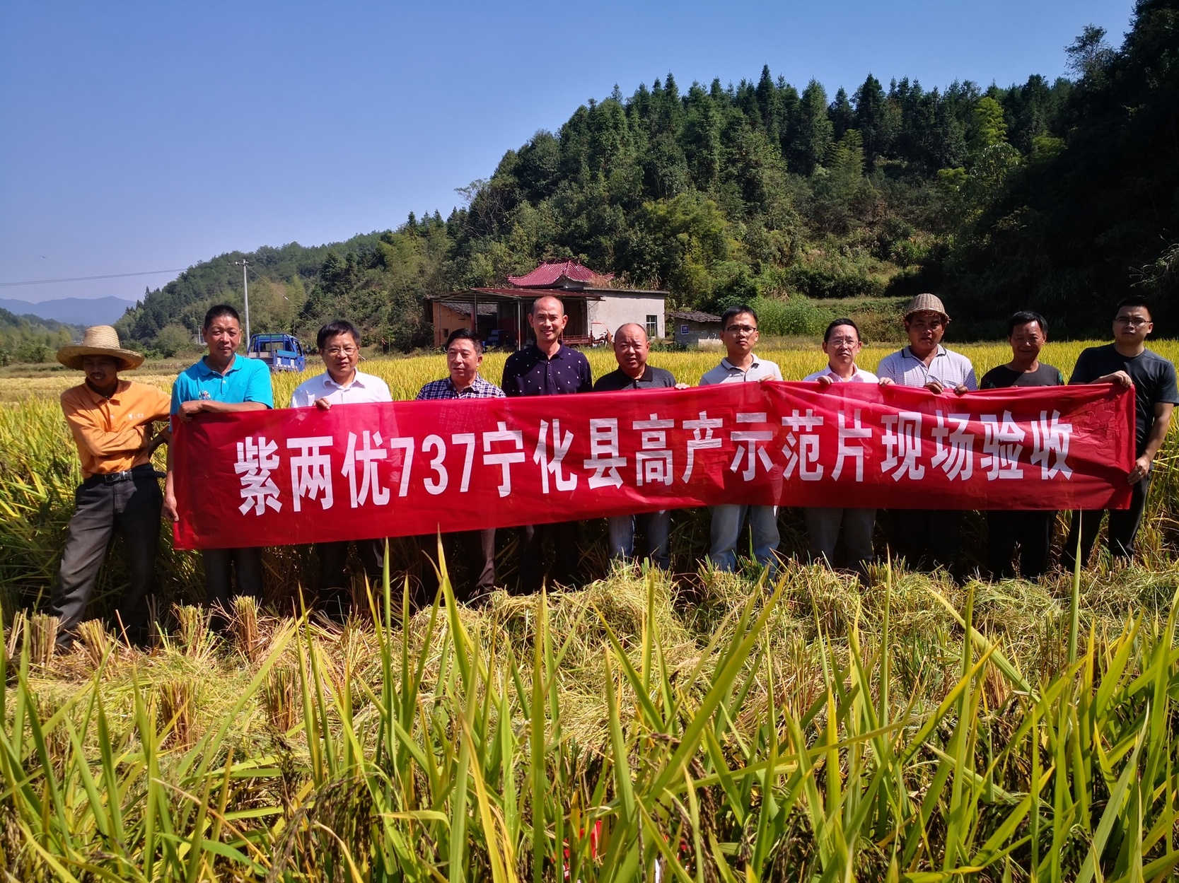 福建富硒生态粗茶