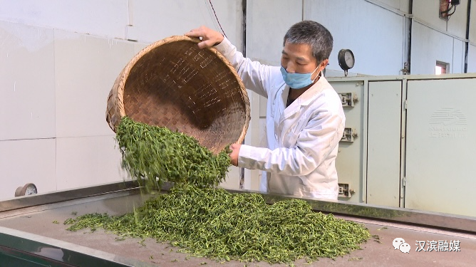普洱富硒茶体验馆