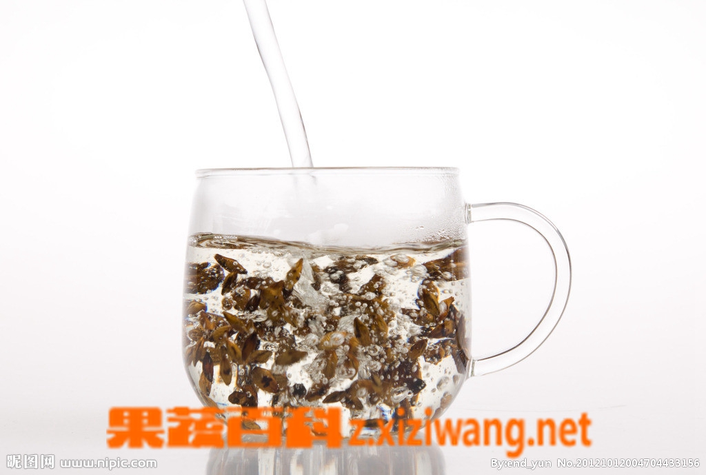果蔬百科大麦茶怎么泡呢