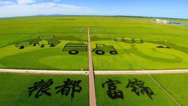 富硒大米怎么吃好