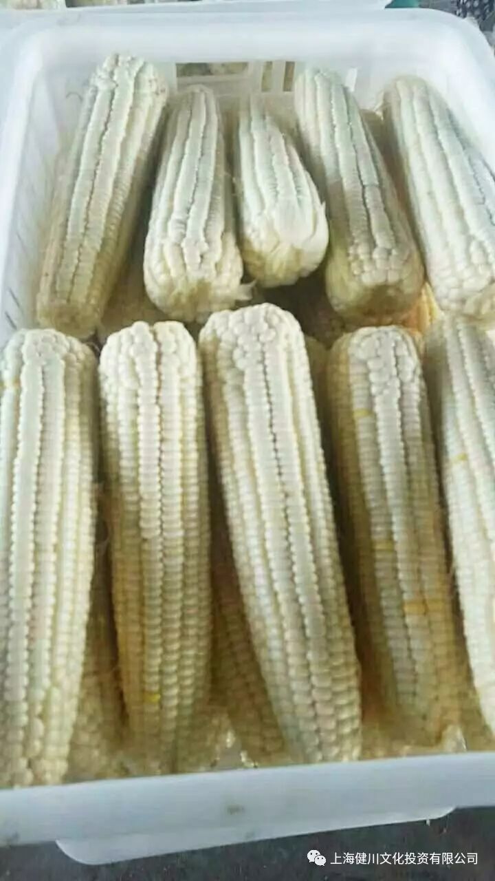 铁岭富硒大米品牌