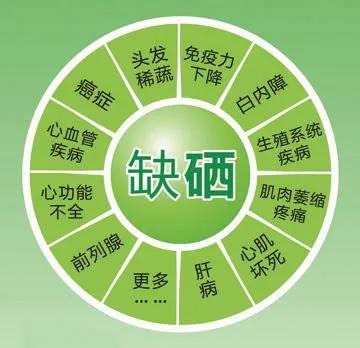 农产品中的硒元素