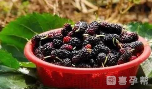 桑葚可以补充人体硒元素