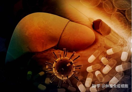 肝癌晚期补硒酵母片