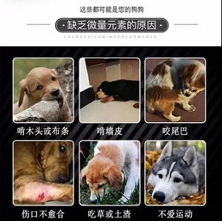 狗狗微量元素哪个牌子好