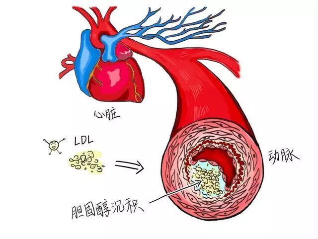 三岁以上儿童能补硒否