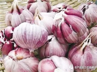 富硒精深加工产品项目