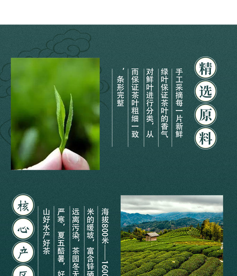 宁强雀舌和紫阳富硒茶